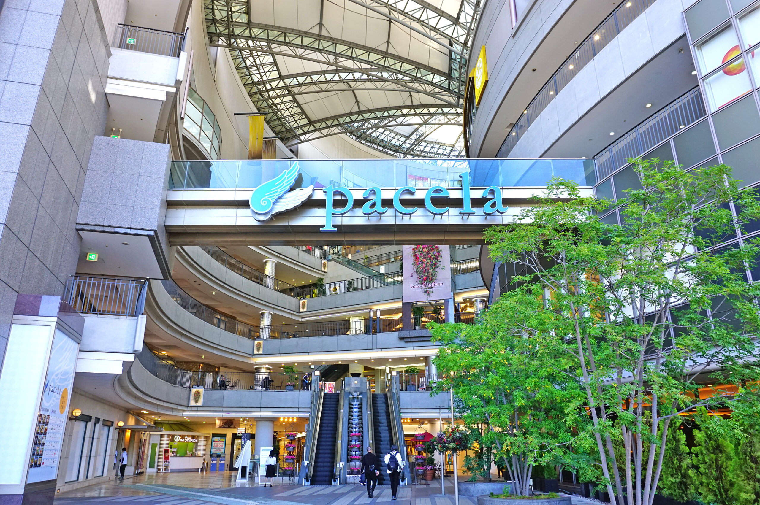 パセーラ（イメージ）