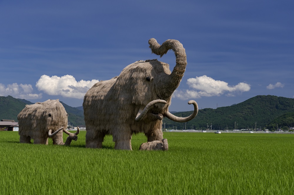わらマンモス