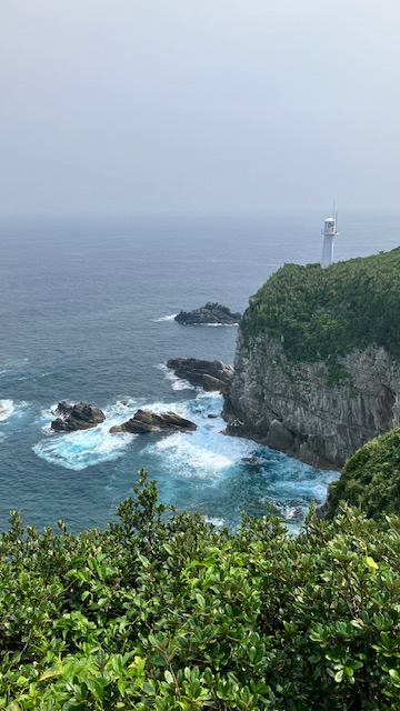 ※写真はすべてイメージです。