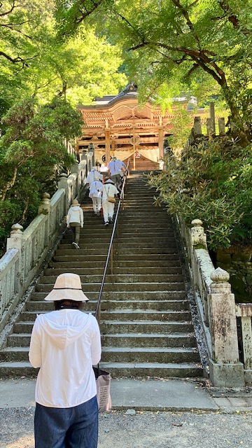 ※写真はすべてイメージです。