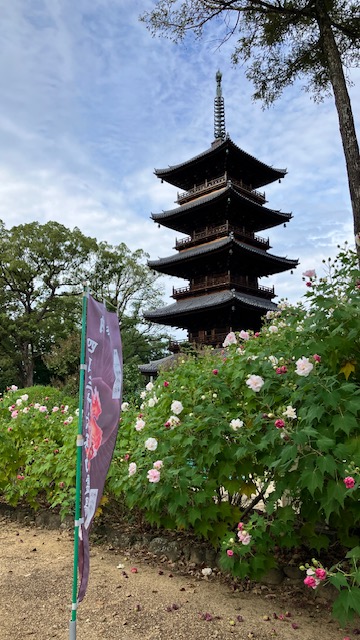 ※写真はすべてイメージです。