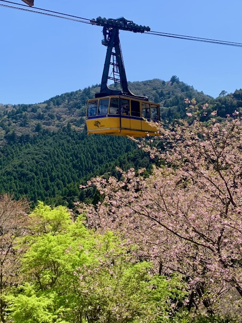 ※写真はすべてイメージです。